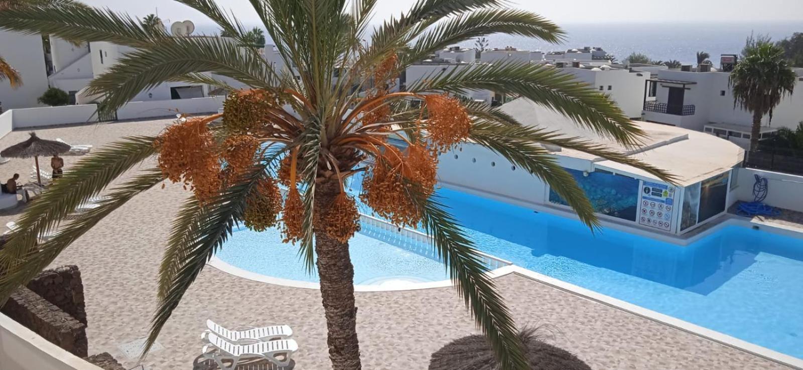 Blue View Hermoso Apartamento Remodelado Ubicacion Ideal Costa Teguise Εξωτερικό φωτογραφία